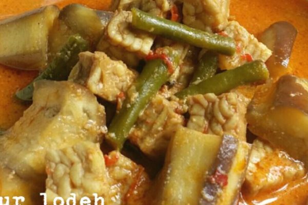 Lontong Sayur Terong: Hidangan Lezat dan Menggugah Selera